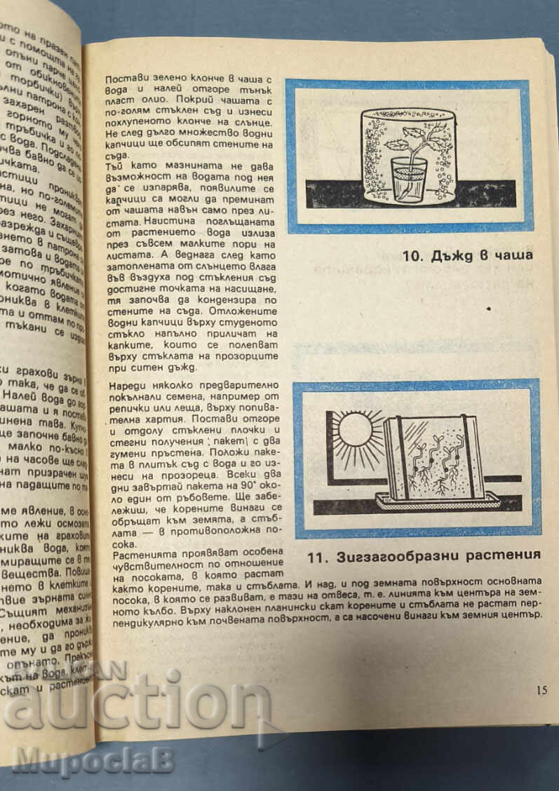 Să intrăm în știință cu jocuri - 7