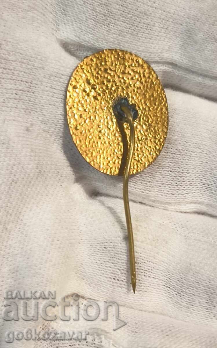 Περιβαλλοντολόγος - Βραβείο - Εμαγιέ κονκάρδα με τιμή 6.00 BGN | € 3.07 Περιβαλλοντολόγος - Βραβείο - Εμαγιέ κονκάρδα με τιμή 6.00 BGN | € 3.07