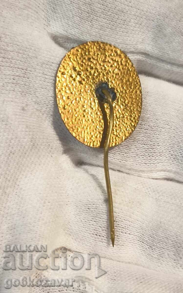 Περιβαλλοντολόγος - Βραβείο - Εμαγιέ κονκάρδα με τιμή € 3.20 | 6.26 BGN