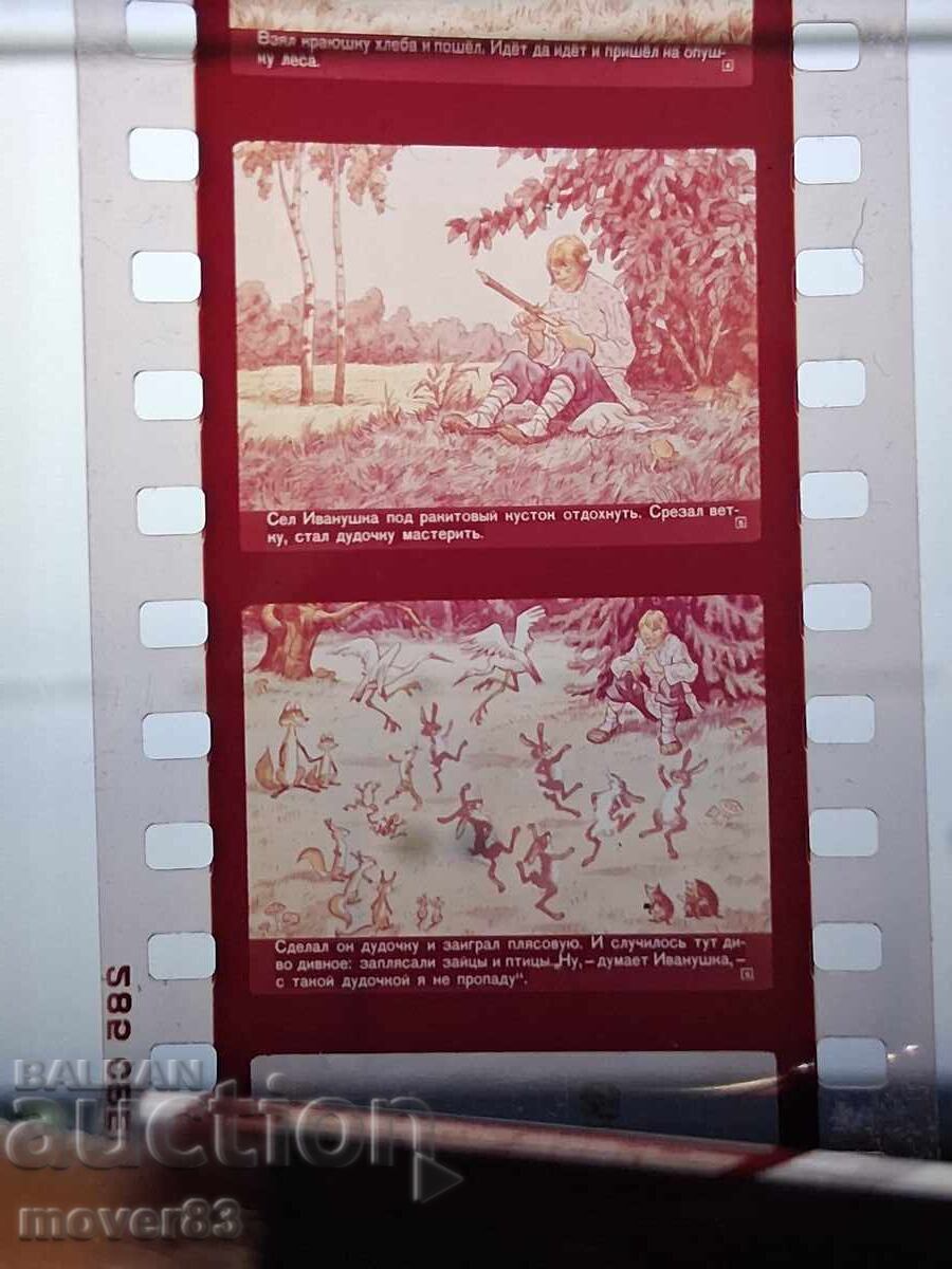 Licitație Diafilm "Fluierul păstorului". URSS. 2 bucăți Licitație Diafilm "Fluierul păstorului". URSS. 2 bucăți