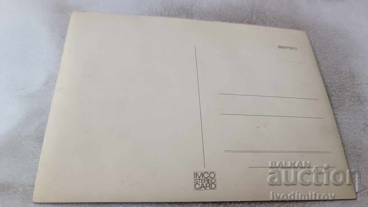 Стереокартичка Сърнички с цена € 1.25 | 2.44 лв.