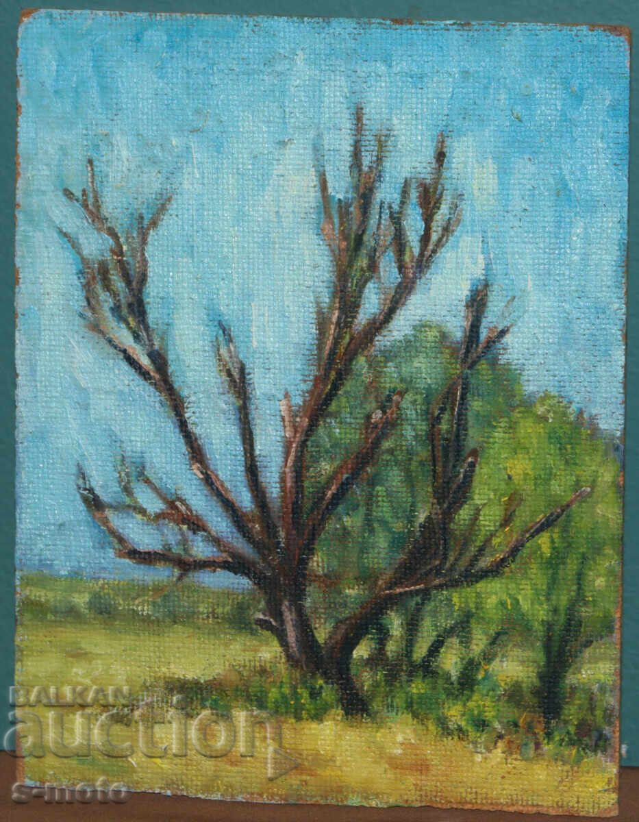 Tablou ulei peisaj cu preț € 81.81 | 160.01 BGN