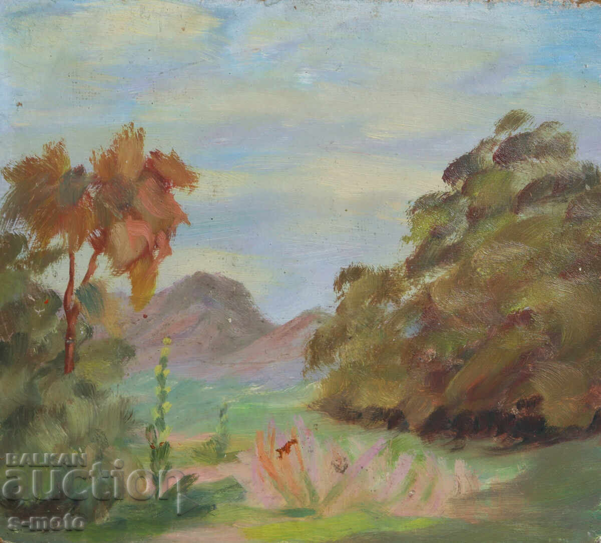 Licitație Tablou ulei peisaj Licitație Tablou ulei peisaj