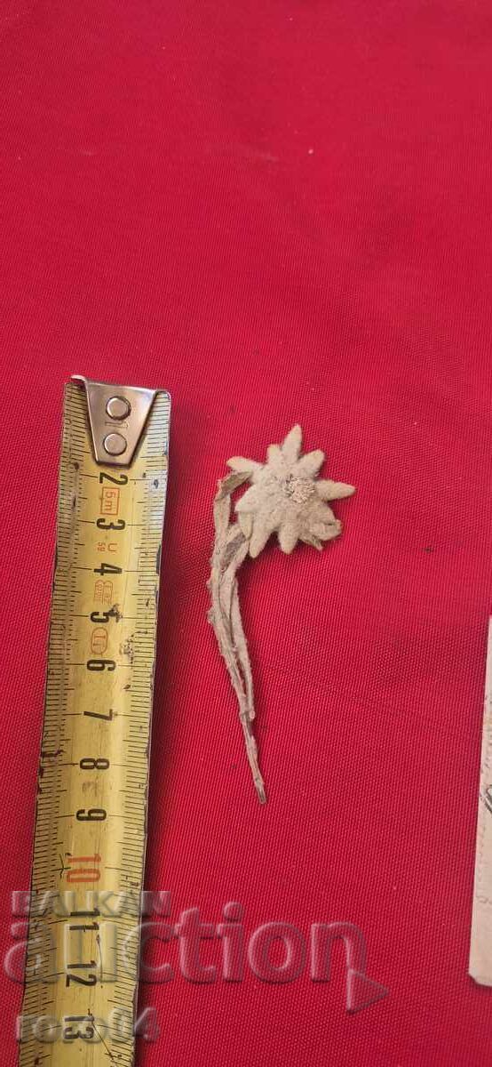 ΕΔΕΛΒΑΪΣ - ΦΑΚΕΛΟΣ - Π.Κ. - ΚΑΛΗ ΧΡΟΝΙΑ και ΚΑΛΑ ΧΡΙΣΤΟΥΓΕΝΝΑ με τιμή € 5.99 | 11.72 BGN