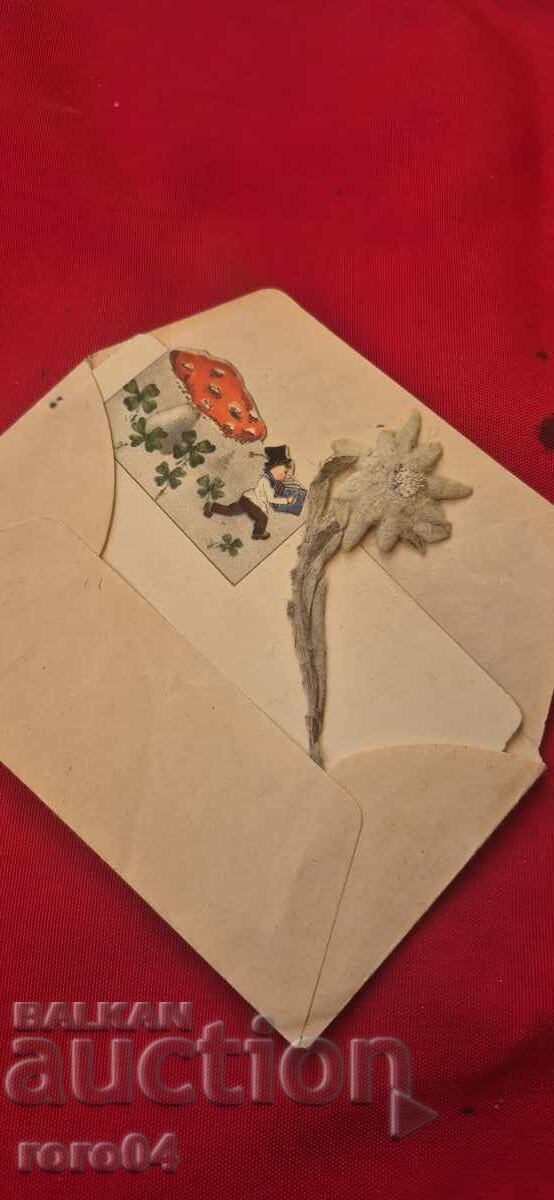 ΕΔΕΛΒΑΪΣ - ΦΑΚΕΛΟΣ - Π.Κ. - ΚΑΛΗ ΧΡΟΝΙΑ και ΚΑΛΑ ΧΡΙΣΤΟΥΓΕΝΝΑ - 7