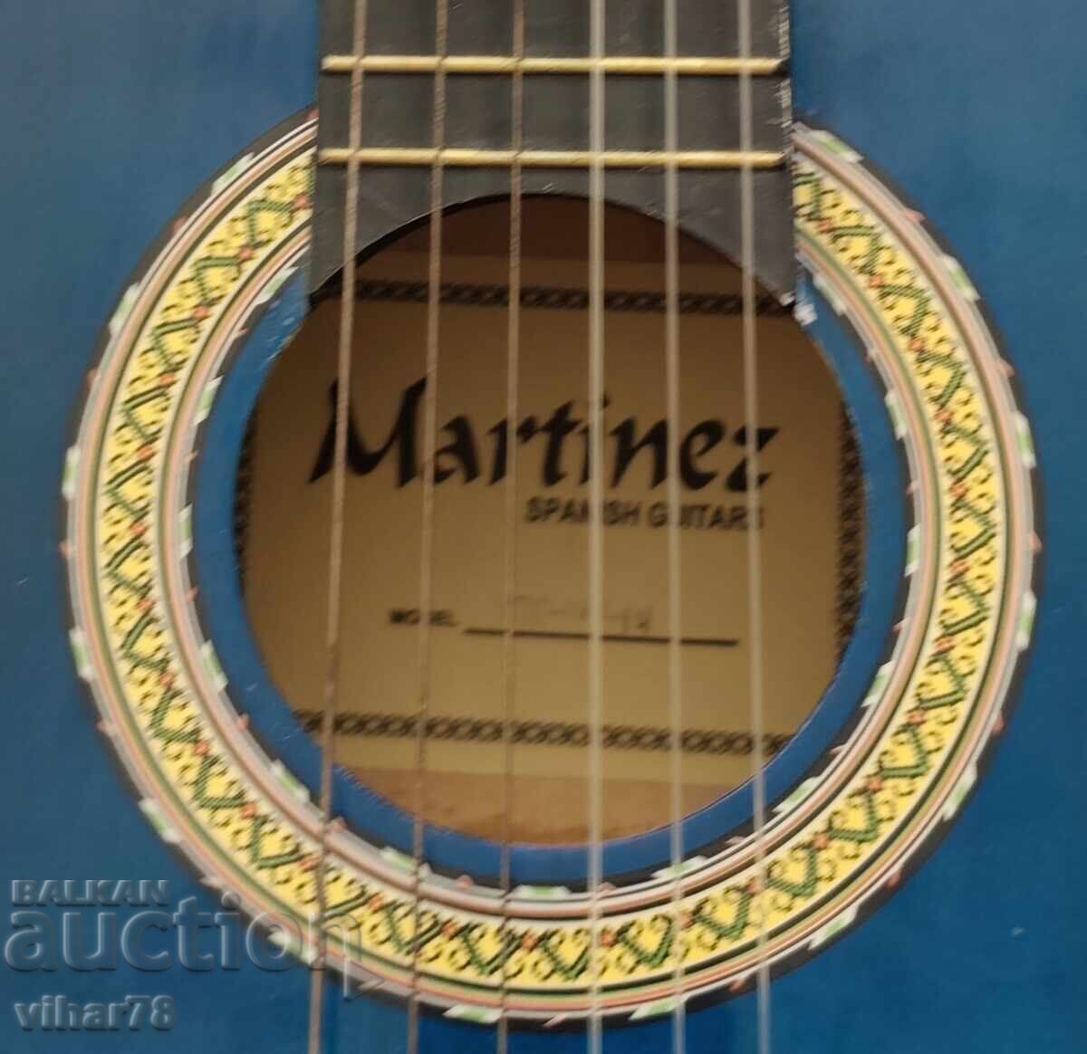 Livrarea Chitara cu carcasa