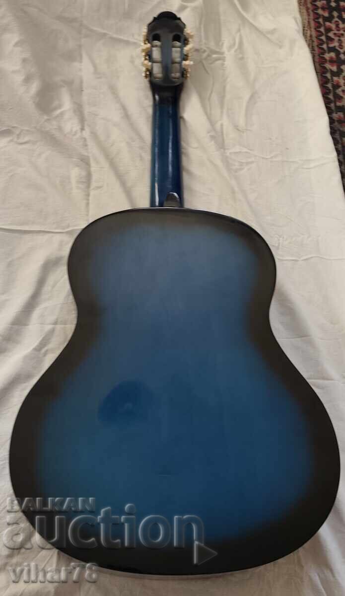 Chitara cu carcasa - 5
