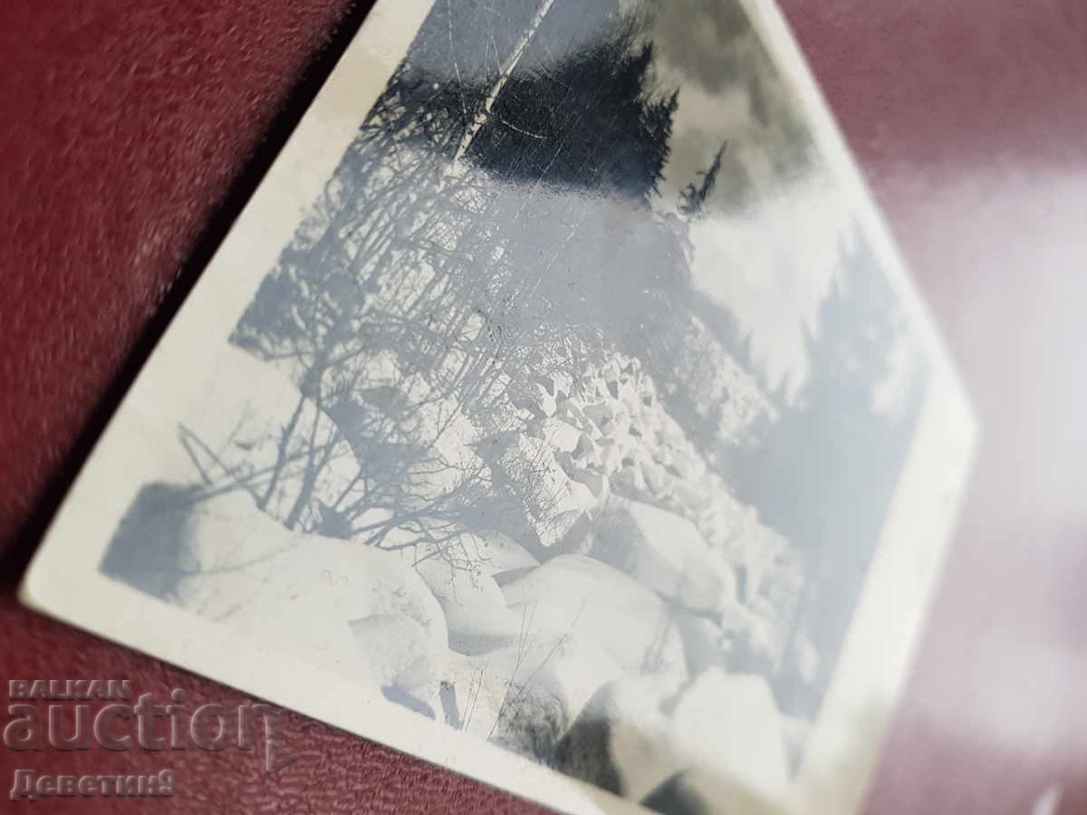 Аукцион Витоша "Златните мостове"