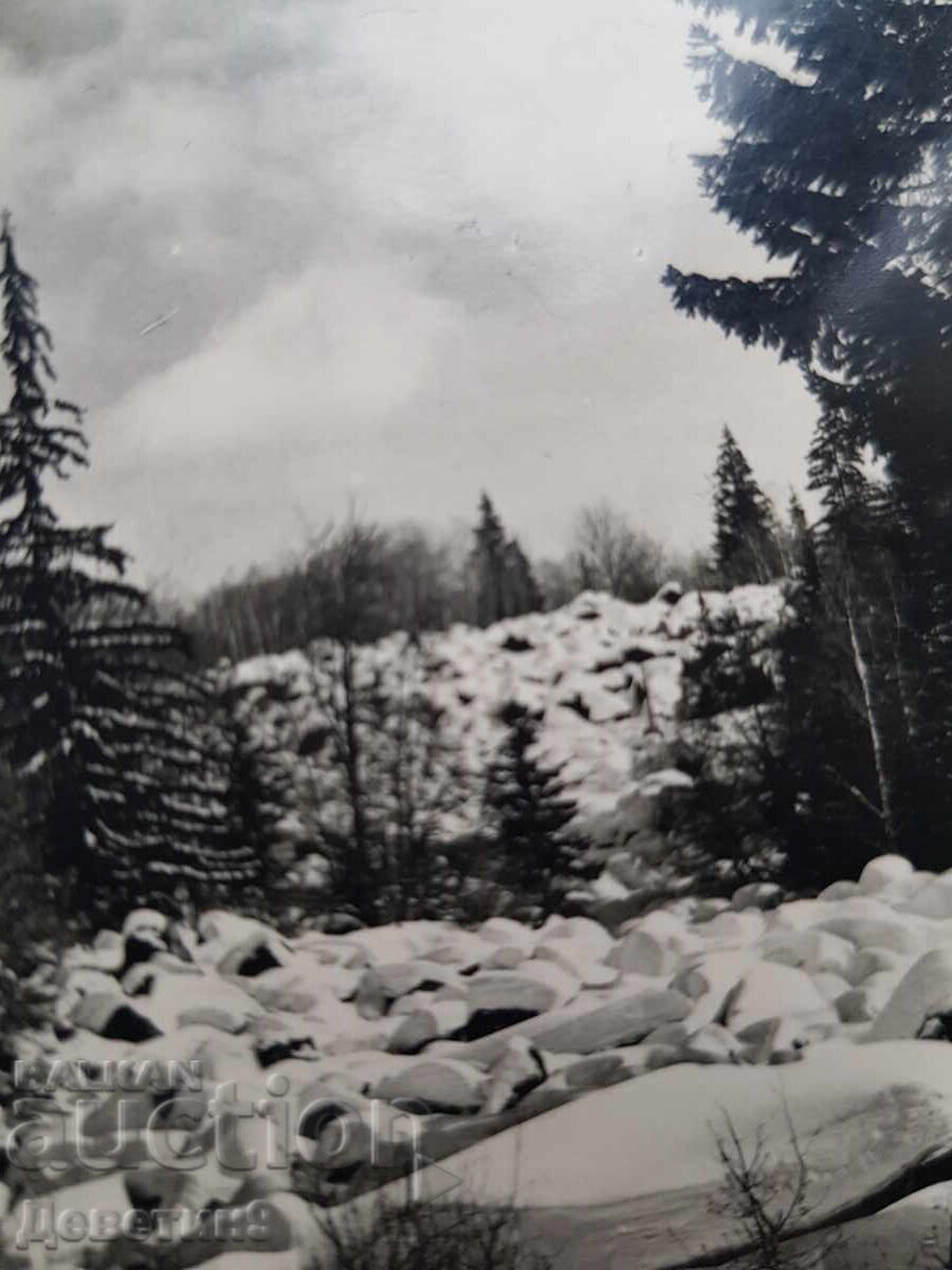 Доставка на Витоша "Златните мостове"