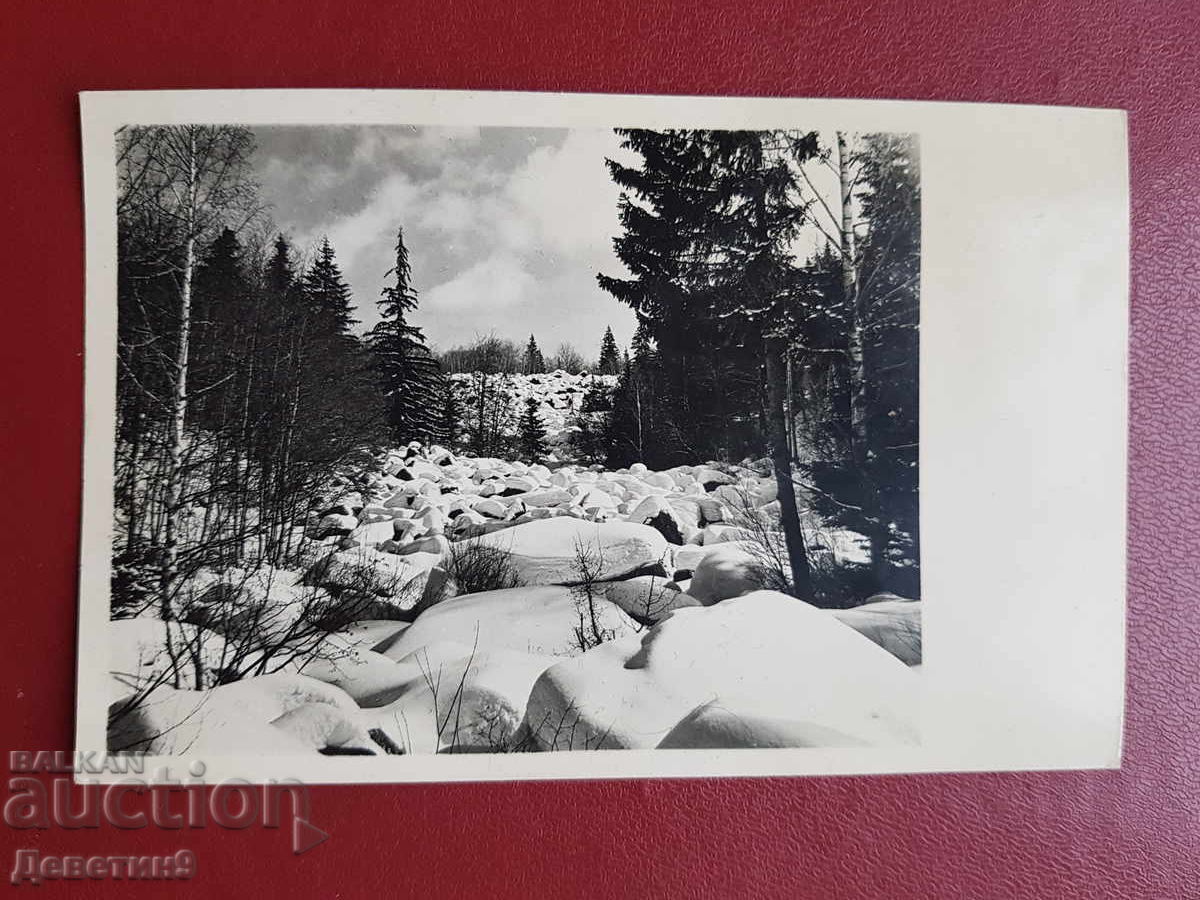 Витоша "Златните мостове"