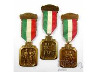 Elveția - Medalii comemorative militare - Lot 3 bucăți - 1974