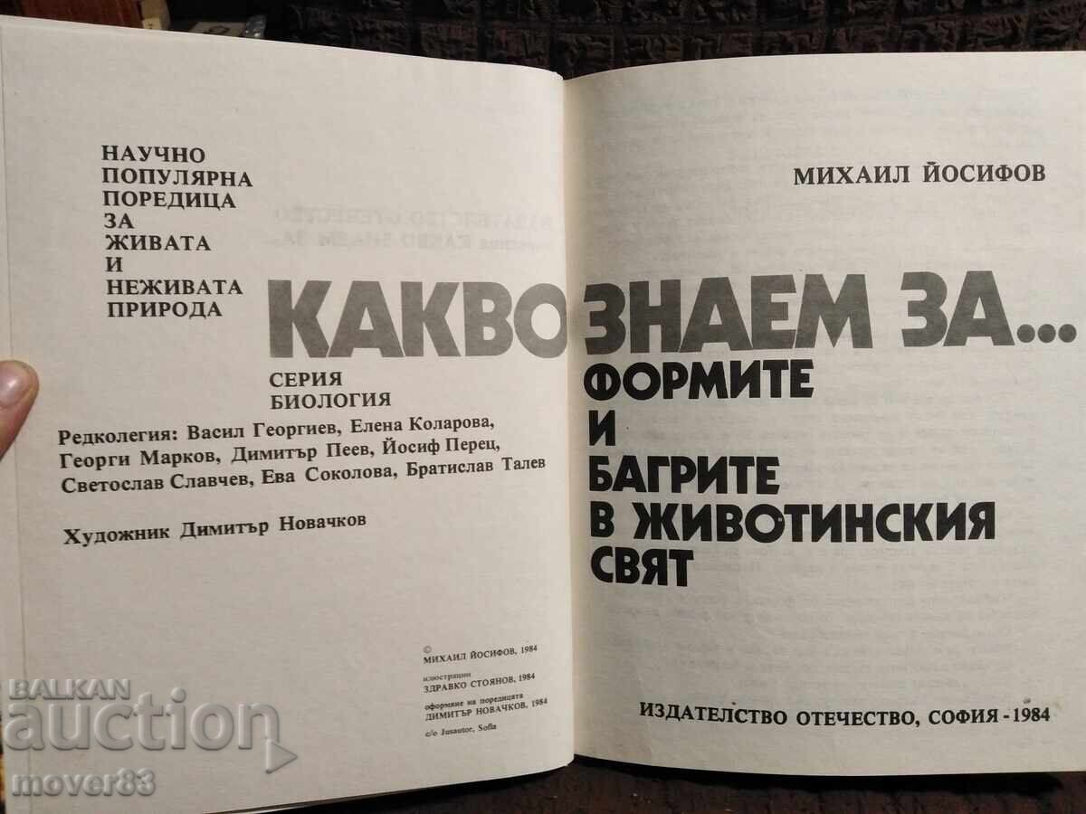 Ce știm despre... Forme și culori în lumea animalelor cu preț € 0.86 | 1.68 BGN