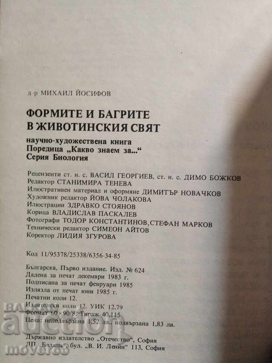 Licitație Ce știm despre... Forme și culori în lumea animalelor