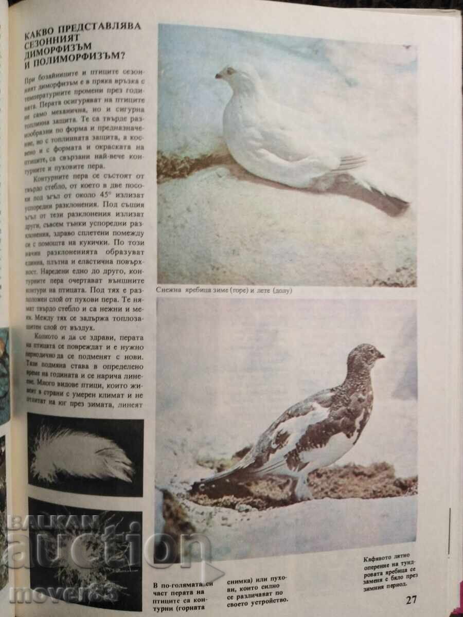 Ce știm despre... Forme și culori în lumea animalelor - 6