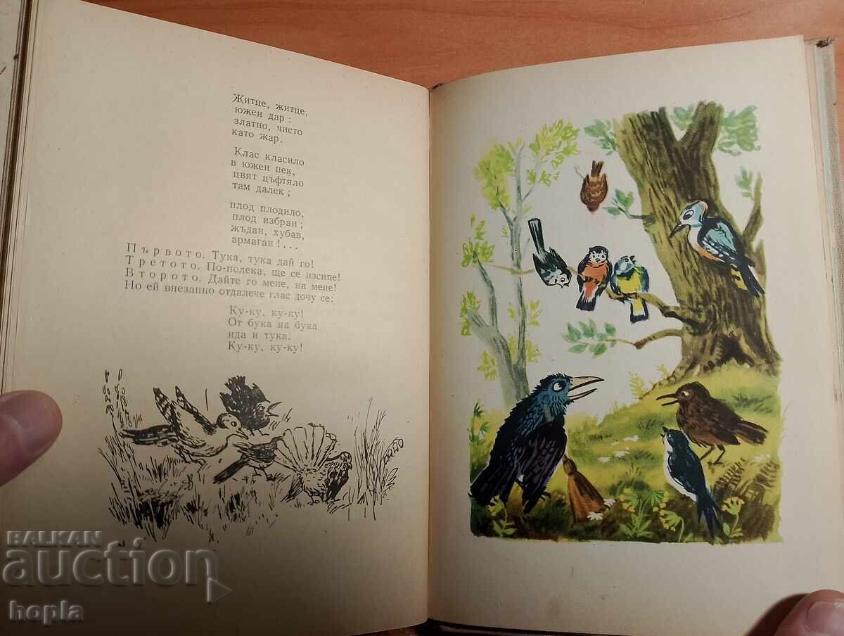 Стоян Дринов ЛЮЛКА 1957 г. - 5