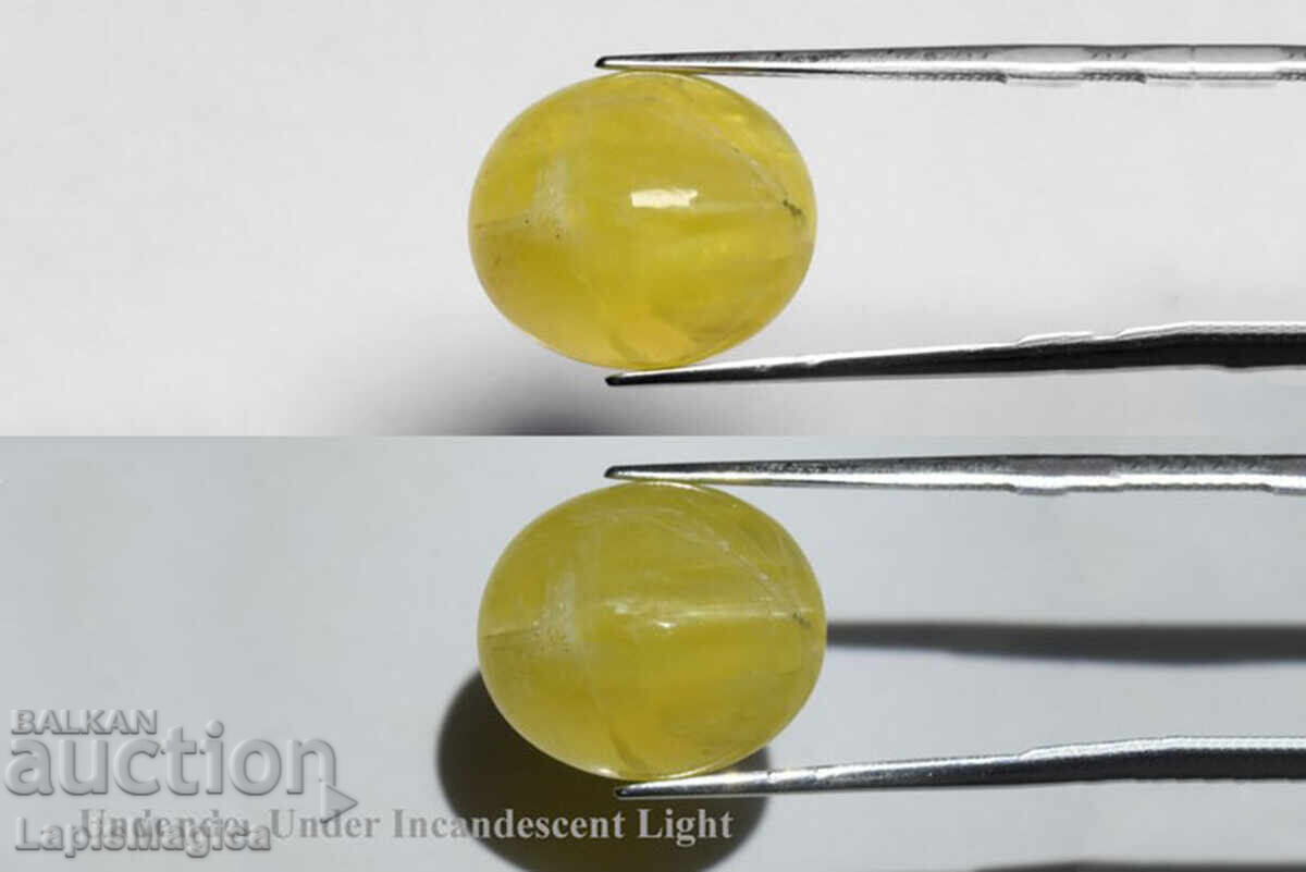 Opal galben natural "ochi de pisică" 13.50ct cabușon oval