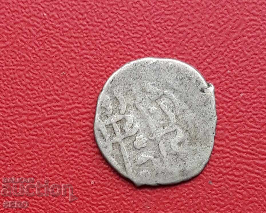 Γαλοπούλα-ασημένια χήνα Γαλοπούλα-ασημένια χήνα