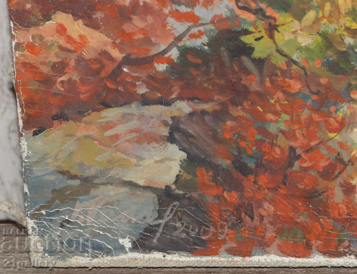 Mаслена картина горски пейзаж водопад - 6