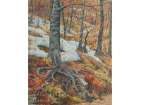 Mаслена картина горски пейзаж водопад