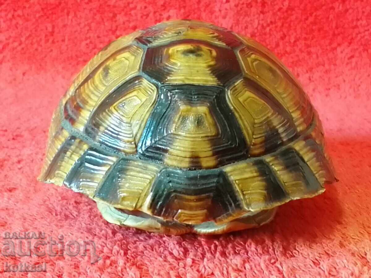 Παράδοση Παλιά χελώνα κορμού