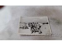 Foto Bărbați și femei pe plajă