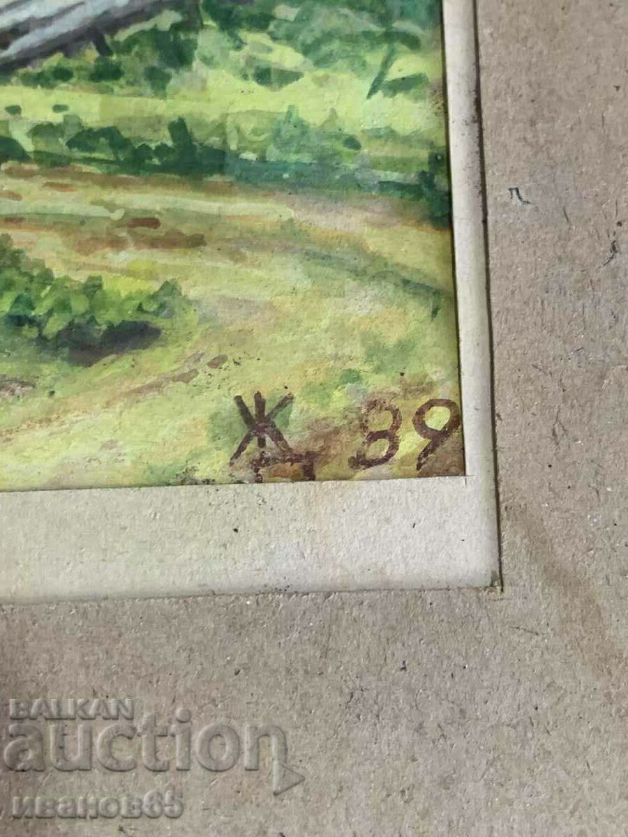 Livrarea poza Rodopi