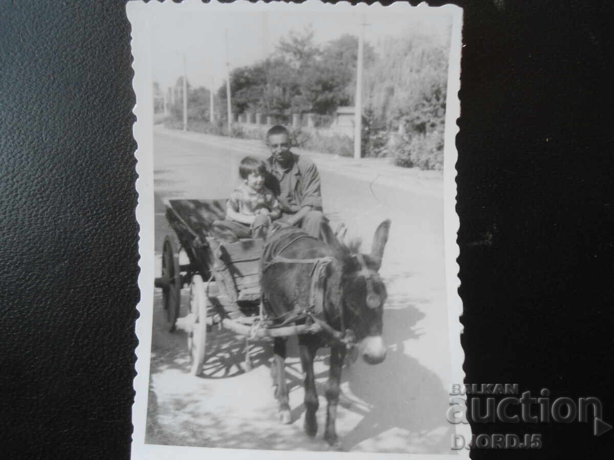 fotografie veche