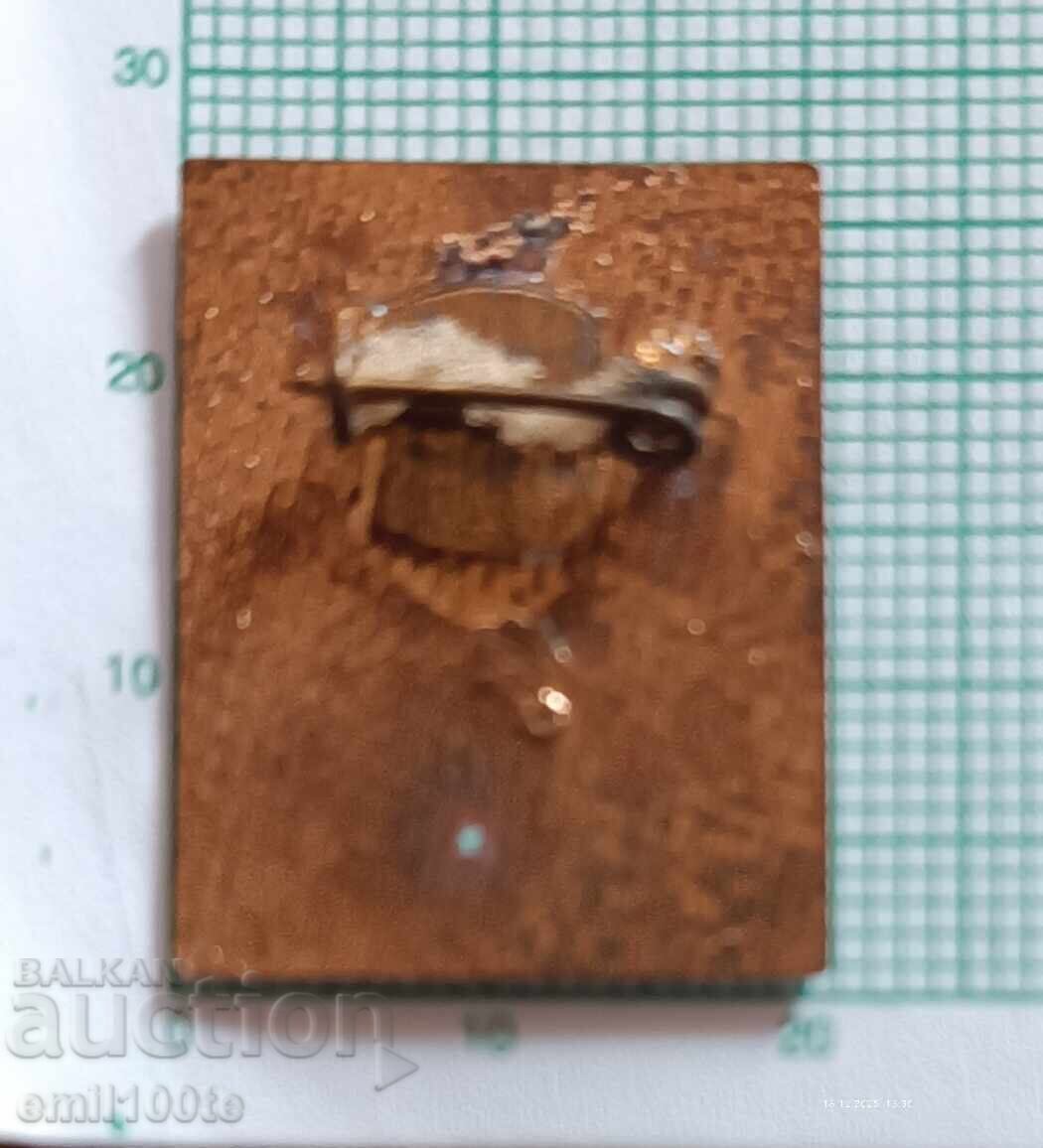 Insigna - 80 de ani de Târg Plovdiv 1892 - 1972 - 5 Insigna - 80 de ani de Târg Plovdiv 1892 - 1972 - 5