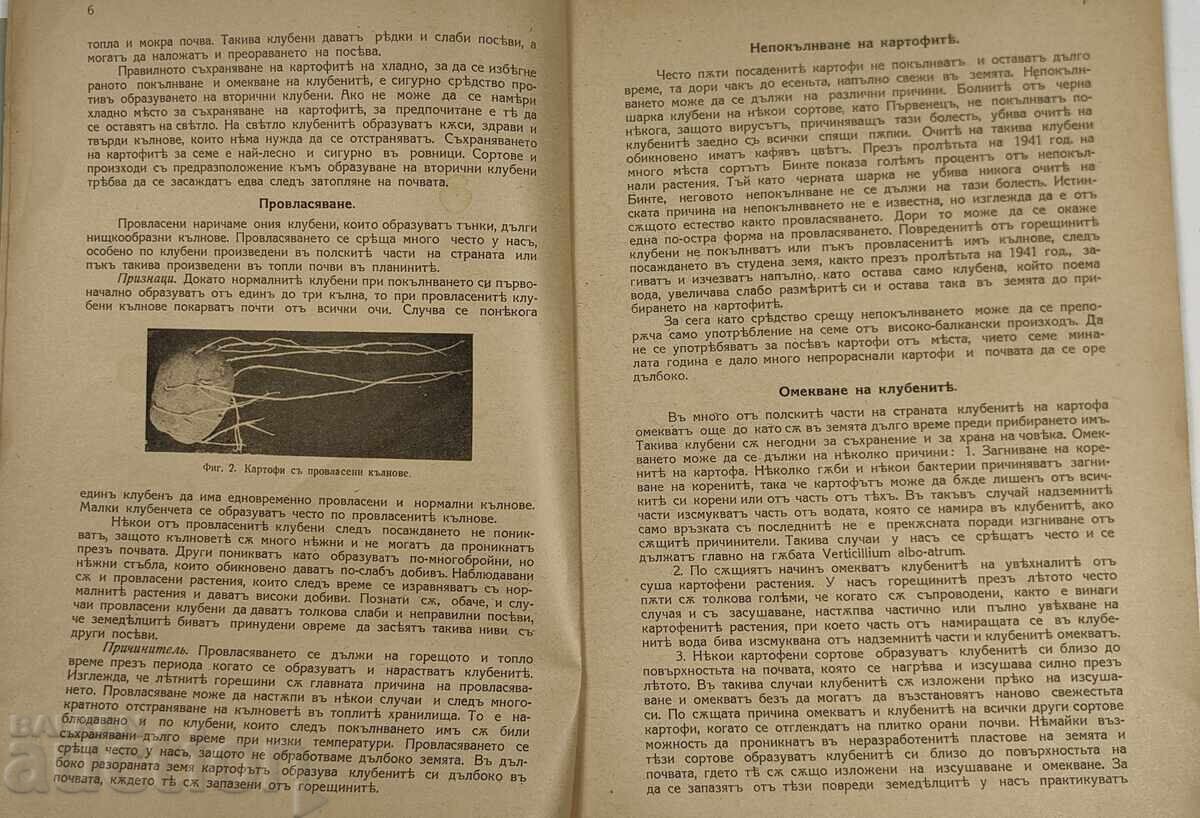Licitație 1942 BOLI ȘI DUȘMANI AI CARTOFULUI