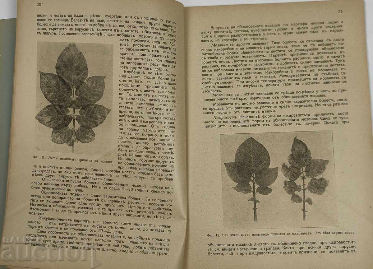 Livrarea 1942 BOLI ȘI DUȘMANI AI CARTOFULUI