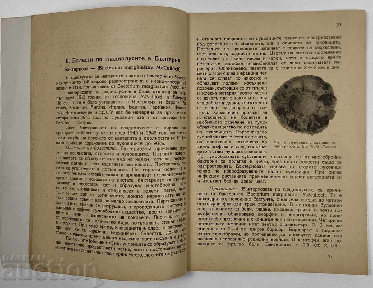 Delivery of 1947 GLADIOLUS CULTIVATION DISEASES PESTS