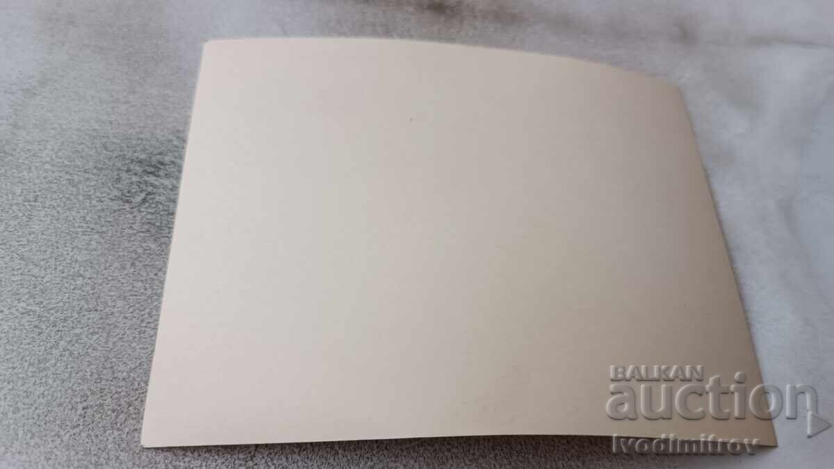 Снимка Мъже в лунапарк с цена € 0.95 | 1.86 лв.