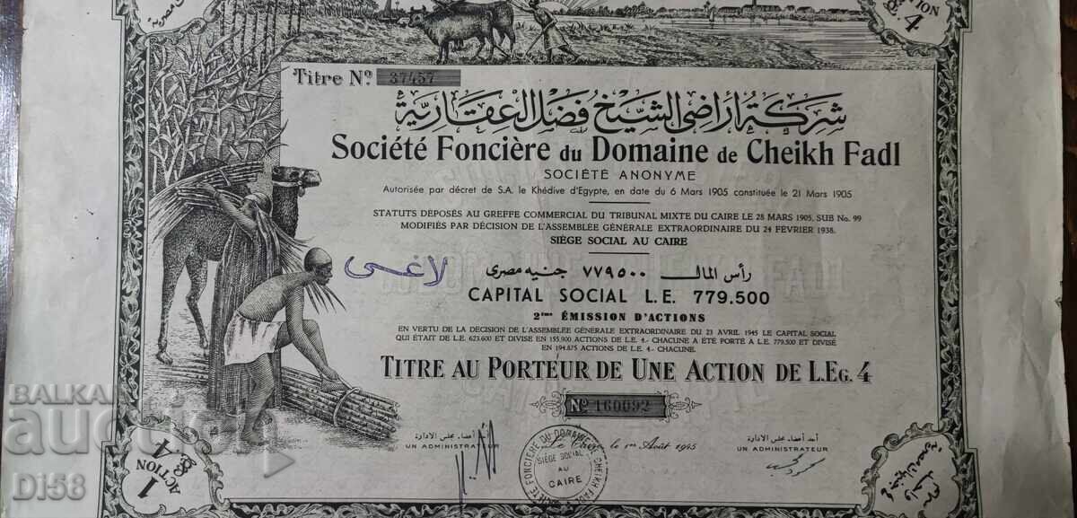 Promoție Egipt Înființată la 21 Martie 1905 cu preț € 7.67 | 15.00 BGN Promoție Egipt Înființată la 21 Martie 1905 cu preț € 7.67 | 15.00 BGN