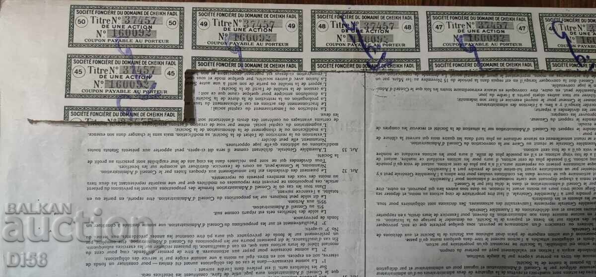 Licitație Promoție Egipt Înființată la 21 Martie 1905 Licitație Promoție Egipt Înființată la 21 Martie 1905