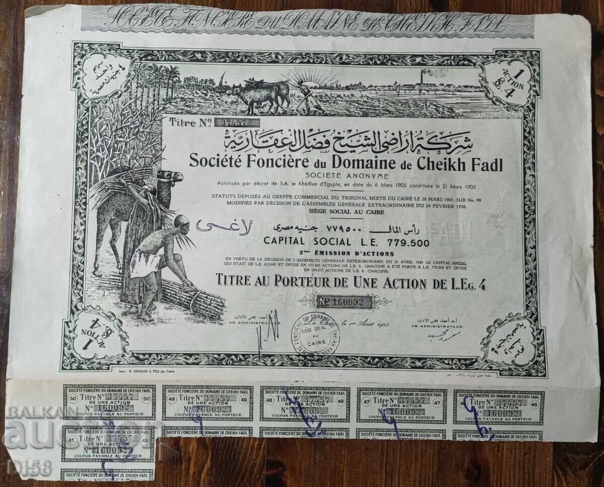 Promoție Egipt Înființată la 21 Martie 1905 Promoție Egipt Înființată la 21 Martie 1905