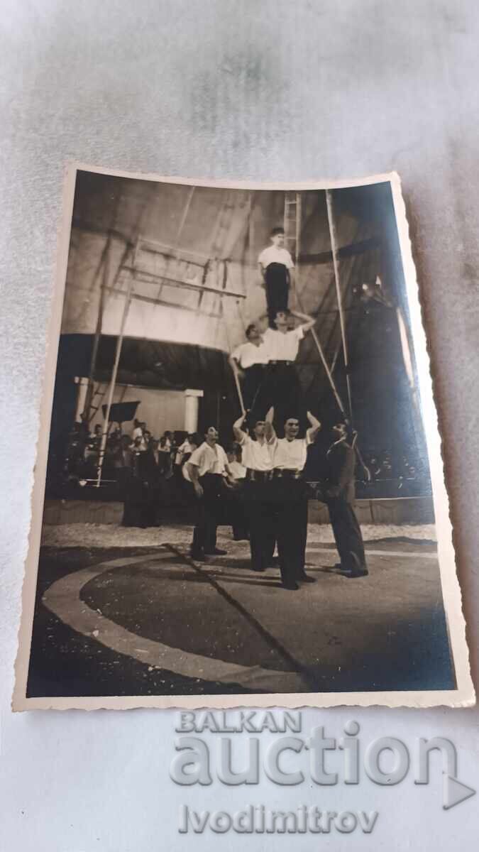 Photo Number in a Circus Performance Photo Number in a Circus Performance