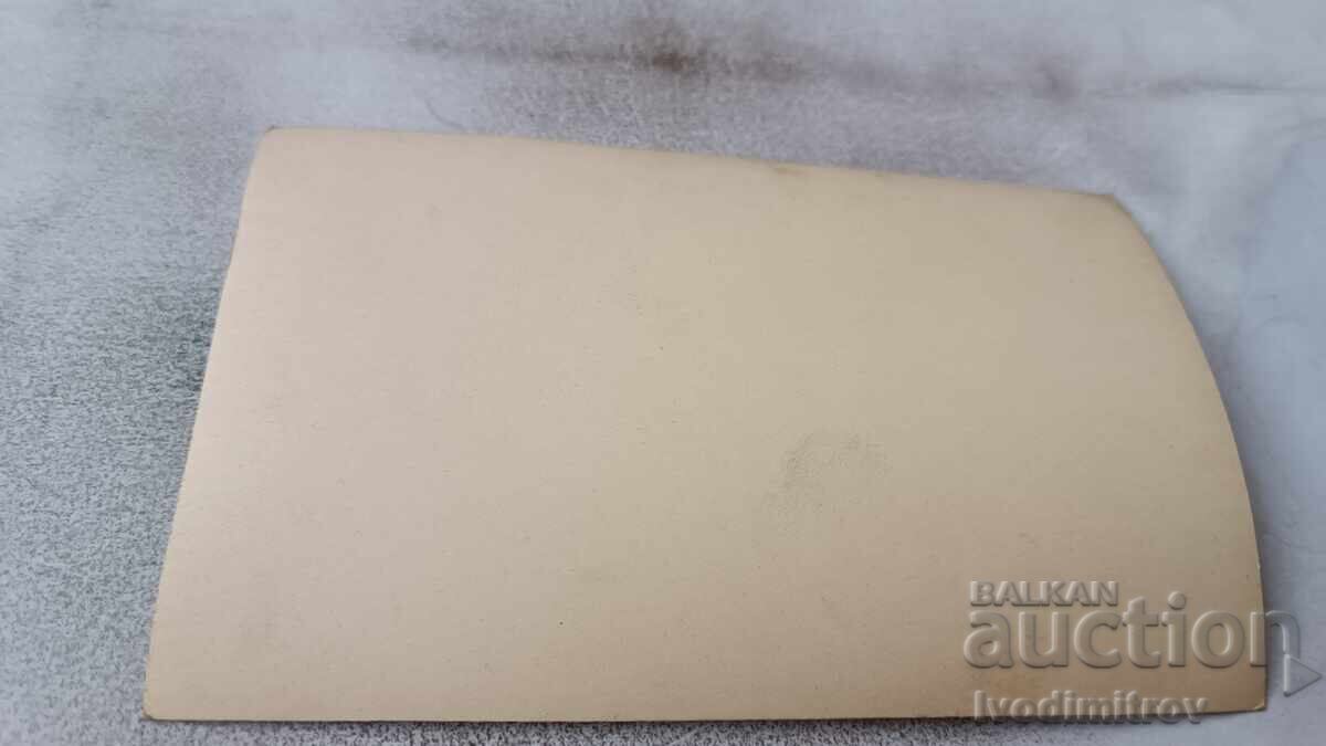 Photo Number in a Circus Performance with price € 0.84 | 1.64 BGN