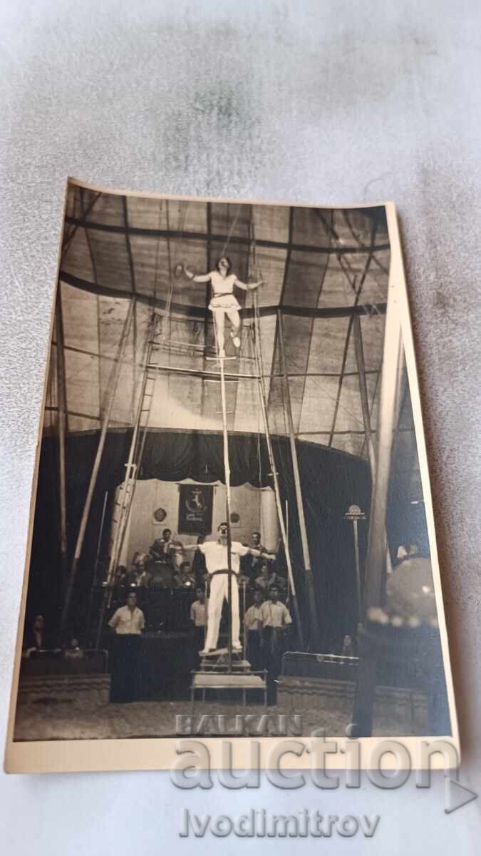 Photo Number in a Circus Performance