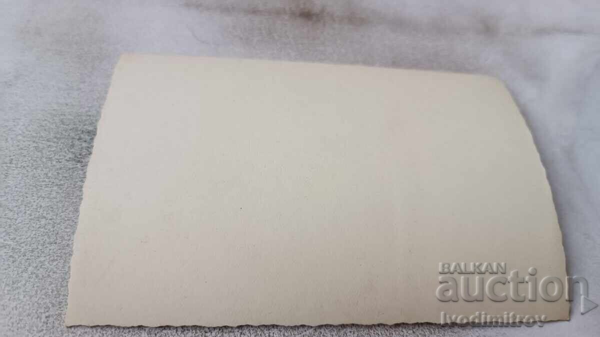 Photo Number in a Circus Performance with price € 0.84 | 1.64 BGN Photo Number in a Circus Performance with price € 0.84 | 1.64 BGN