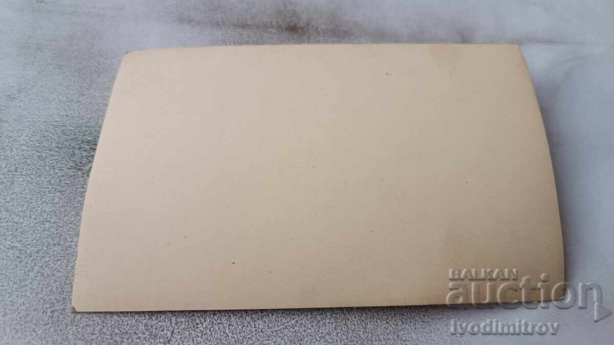 Photo of Two Clowns in a Circus Performance with price € 0.84 | 1.64 BGN Photo of Two Clowns in a Circus Performance with price € 0.84 | 1.64 BGN