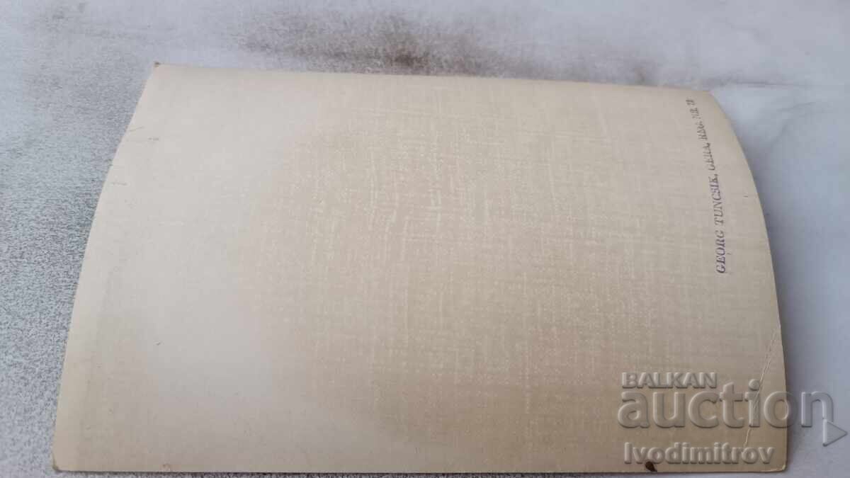 Photo Number in a Circus Performance with price € 0.74 | 1.45 BGN Photo Number in a Circus Performance with price € 0.74 | 1.45 BGN