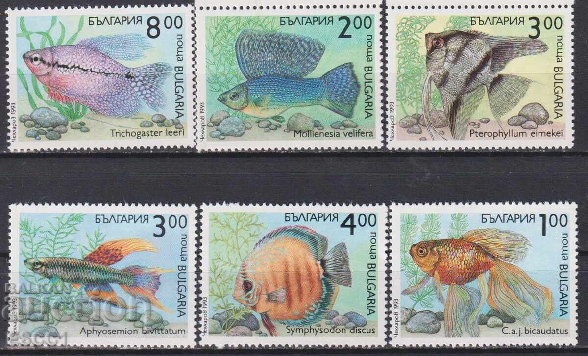 Mărci poștale curate Fauna Pești 1993 din Bulgaria