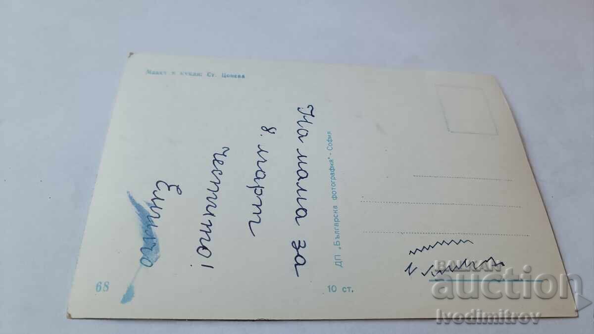 Пощенска картичка Макет и кукли № 68 с цена € 0.43 | 0.84 лв.