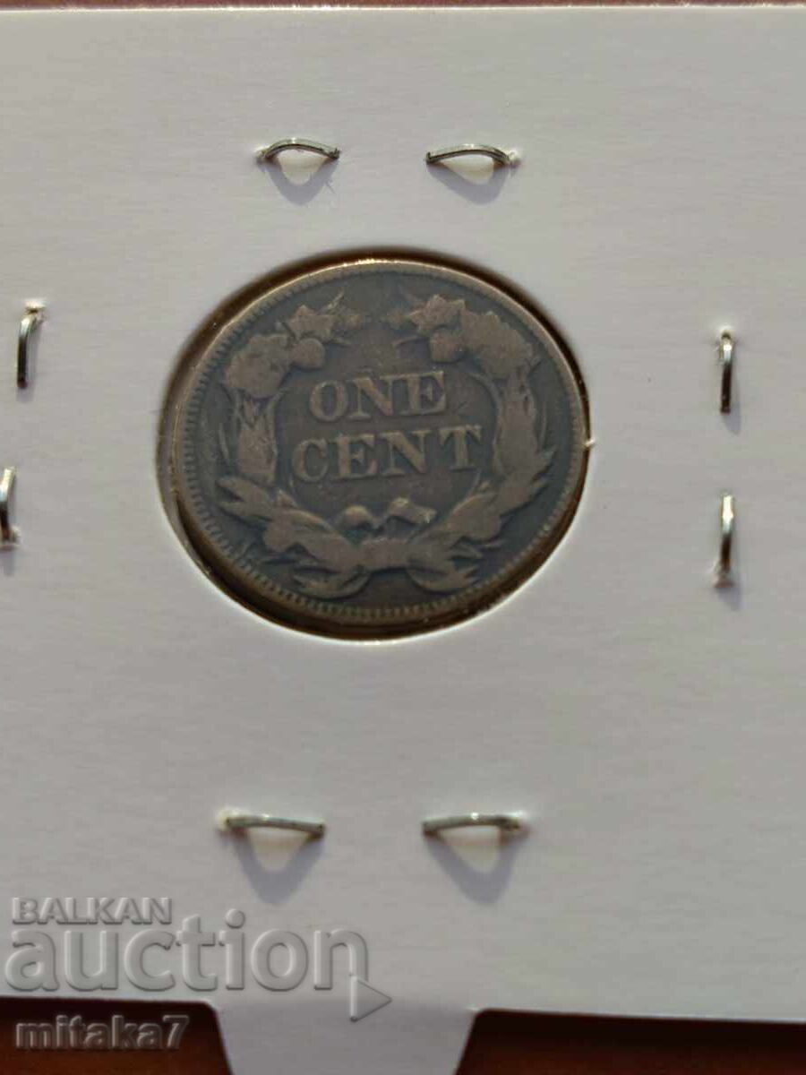 Auction  1 cent 1857, USA