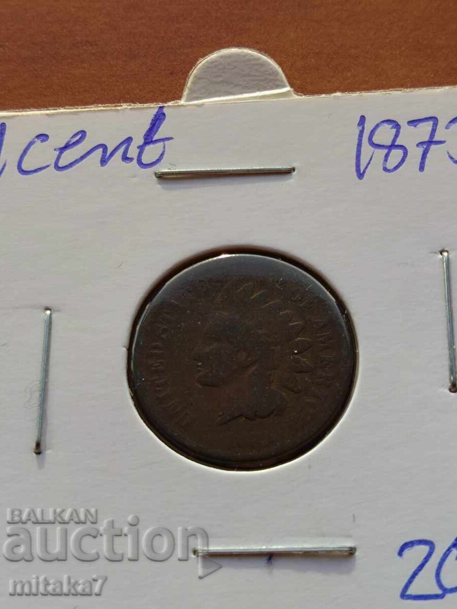 Licitație 1 cent 1873, SUA