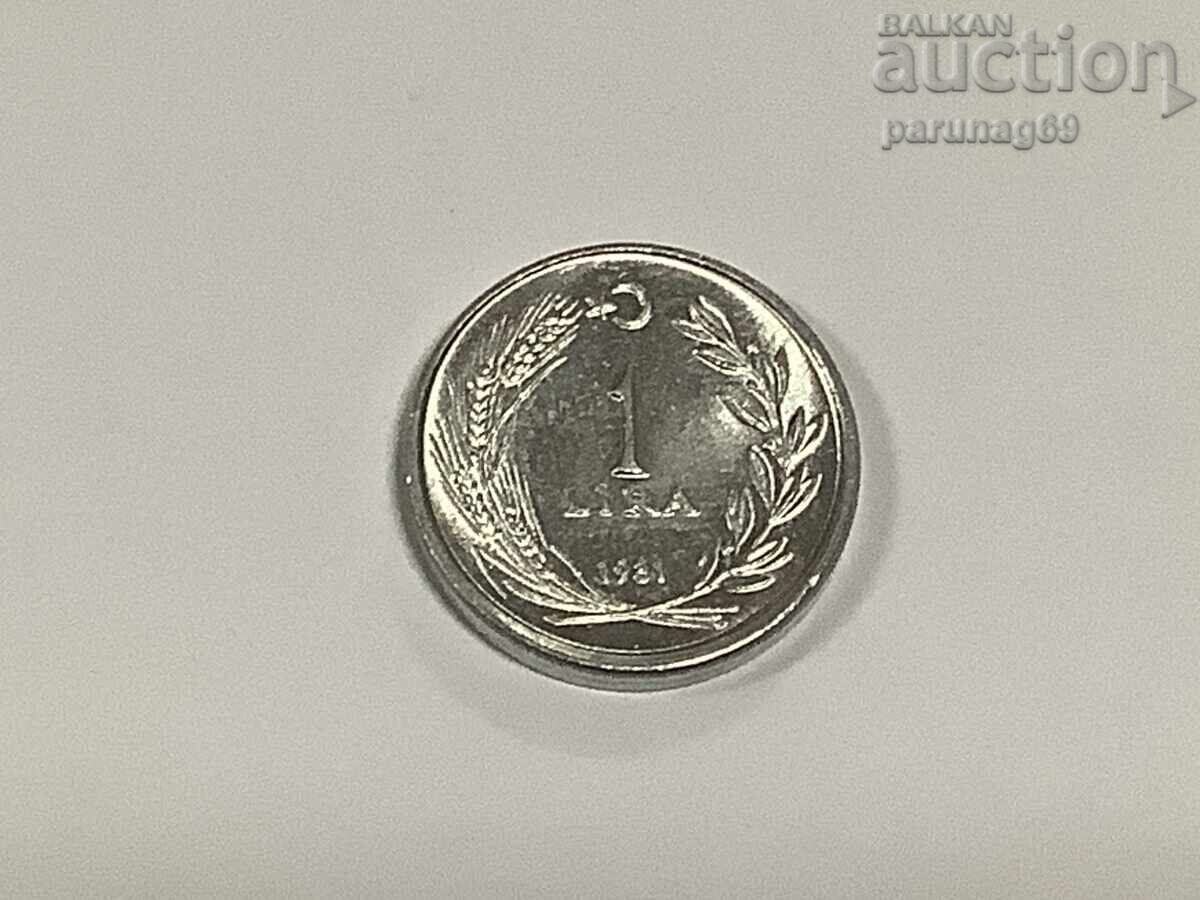Turkey 1 Lira 1981 (1)