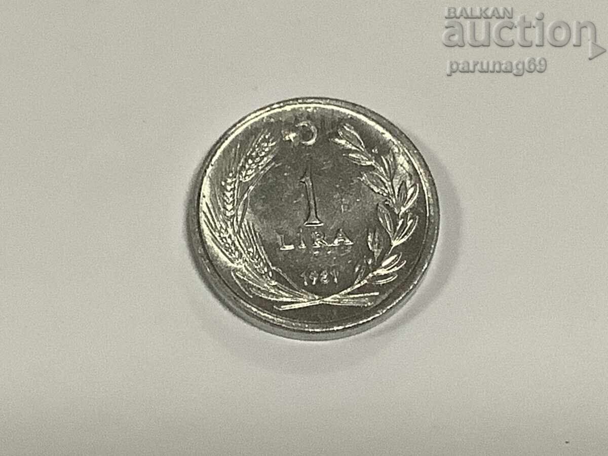 Turcia 1 liră 1981 (2)