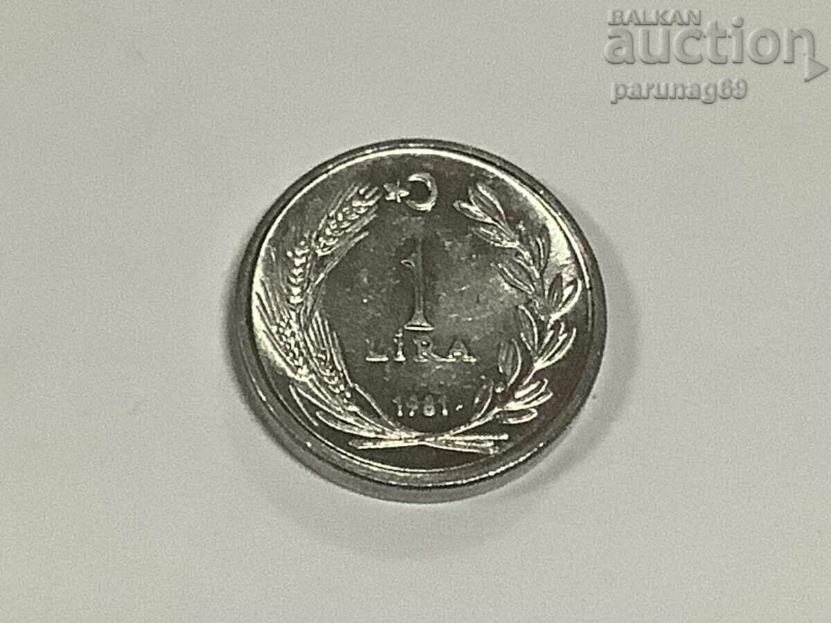 Τουρκία 1 λίρα 1981 (3) Τουρκία 1 λίρα 1981 (3)