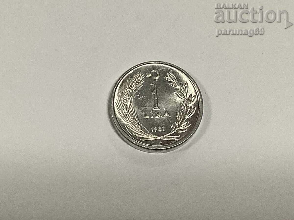 Turkey 1 Lira 1981 (4)