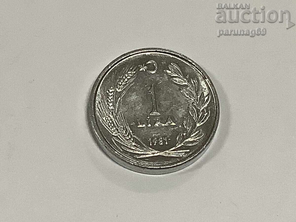 Turkey 1 Lira 1981 (6)